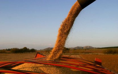 El gobierno anunció retenciones cero para la exportación de granos y subproductos