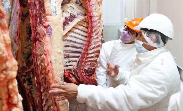 Vuelan las exportaciones de carne: en marzo duplicaron el ingreso de dólares