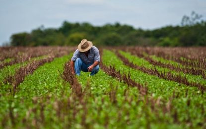 Más producción: los fertilizantes como aliados de la agricultura