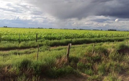 ¿Aflojarán las lluvias a fin de año?