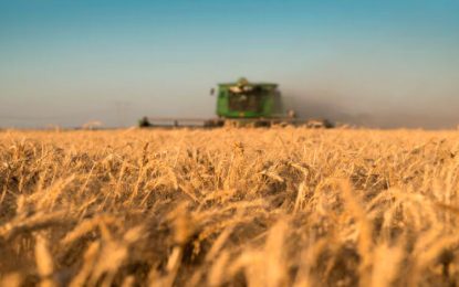 La siembra de trigo alcanzó el 55% en Santa Fe, pero las lluvias frenaron el ritmo de trabajo