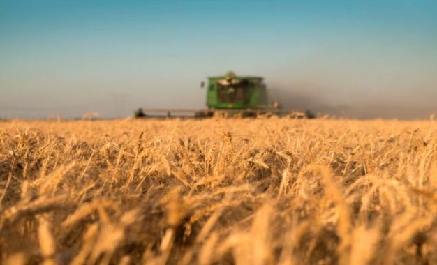La siembra de trigo alcanzó el 55% en Santa Fe, pero las lluvias frenaron el ritmo de trabajo