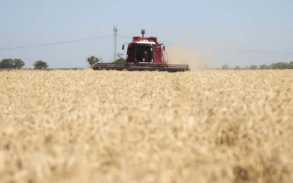 Baja de retenciones: el Estado cede U$S 511 millones y los granos deberían subir entre 1% y 3%