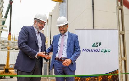 El girasol también moviliza inversiones: U$S 12 millones para molienda a la vera del Paraná