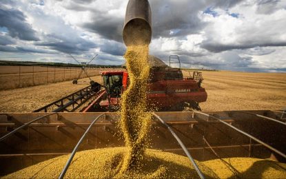 Por primera vez, Argentina exportó harina de soja certificada como “responsable”