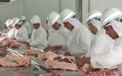 La faena bovina no corta la racha negativa: arrancó 2026 con una nueva caída