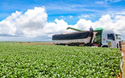 Las menores retenciones se sienten en el precio de la soja nueva