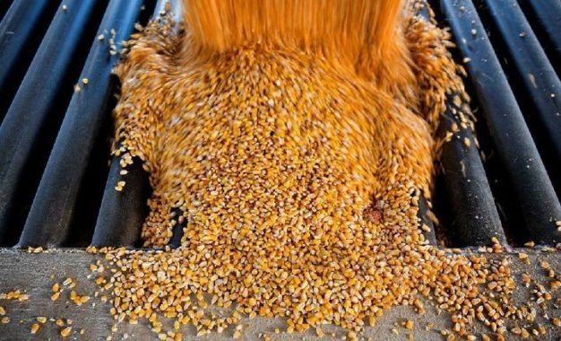 El shock energético impulsa los granos y abre una ventana para Argentina