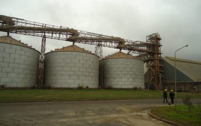 Cambio en la soja: la industria aceitera retoma protagonismo para motorizar el mercado