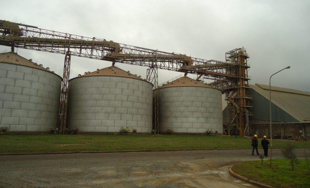 Cambio en la soja: la industria aceitera retoma protagonismo para motorizar el mercado