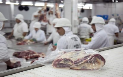 ¿El mercado de la carne vacuna se estabilizará?