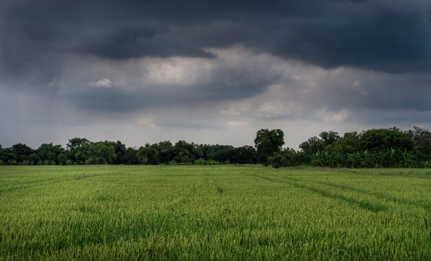 El Niño se confirma en el horizonte: qué oportunidades y amenazas trae para el agro