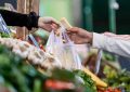 Producción frutihortícola cae 20% y alertan por urbanización sin control