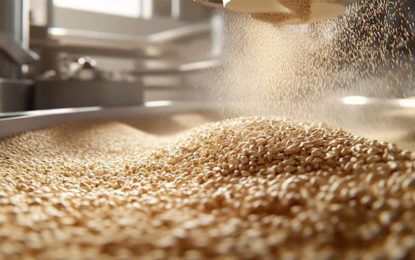 El conflicto en Medio Oriente redefine el mercado global de granos