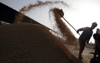 Arroz: crisis en el sector por aumento en el combustible, fertilizantes y caída de exportaciones