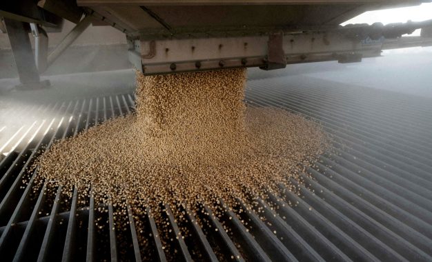 Tensión en Medio Oriente: suben los costos y crece la incertidumbre en los granos