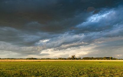 Solución para proteger cultivos del cambio climático
