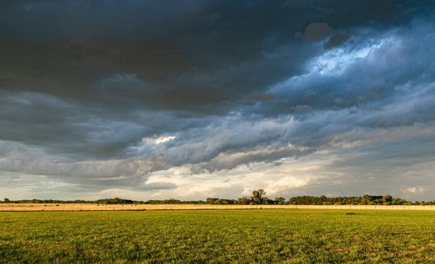 Solución para proteger cultivos del cambio climático