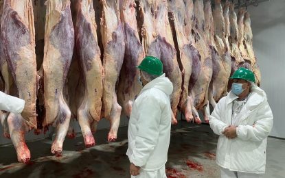 El precio de la carne vacuna: los frigoríficos confían en que “dejará de ser noticia” en mayo