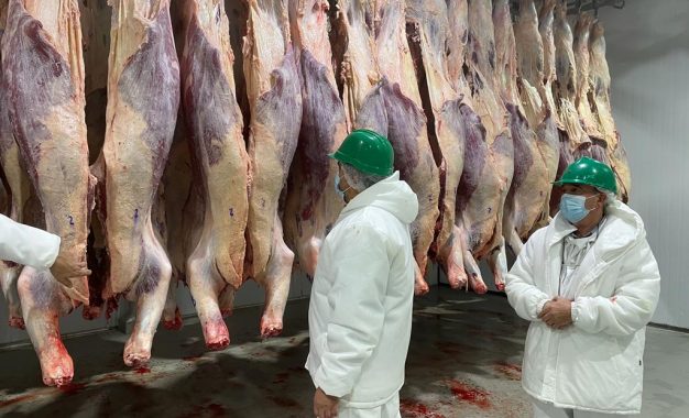 El precio de la carne vacuna: los frigoríficos confían en que “dejará de ser noticia” en mayo