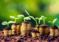 Inversiones agropecuarias: ARCA oficializó los requisitos y beneficios del RIMI