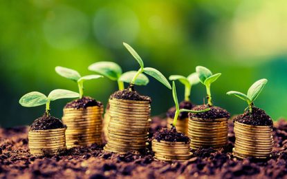 Inversiones agropecuarias: ARCA oficializó los requisitos y beneficios del RIMI