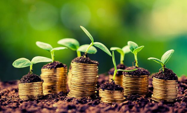 Inversiones agropecuarias: ARCA oficializó los requisitos y beneficios del RIMI