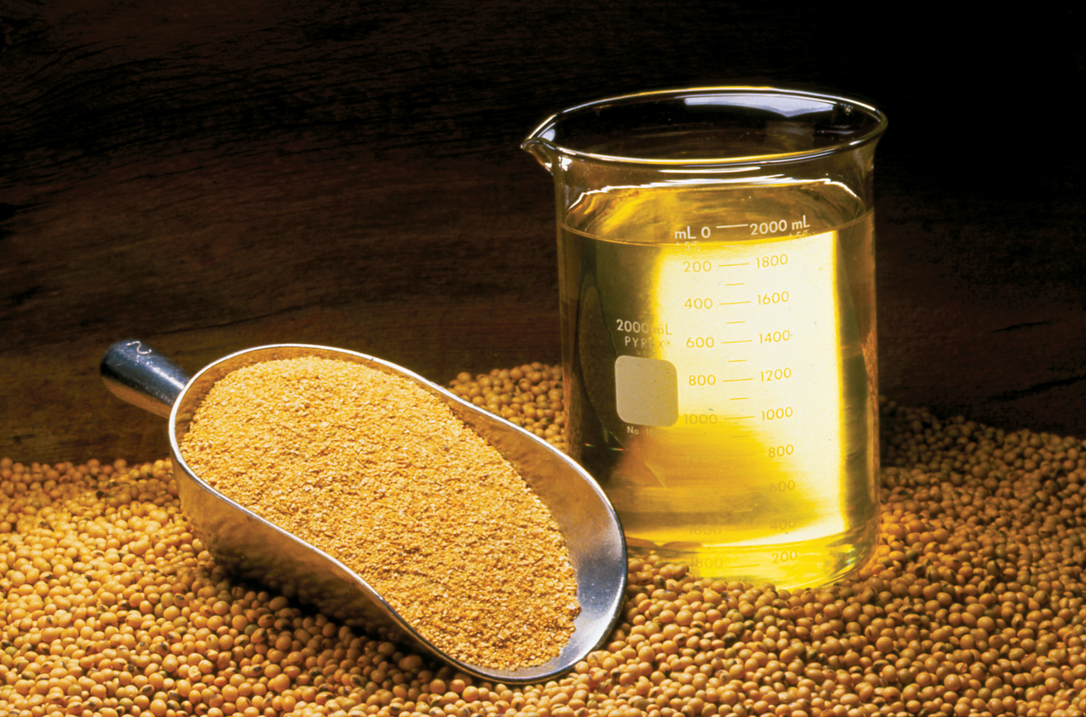 El aceite de soja alcanzó el precio más alto en casi cuatro años