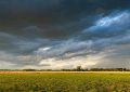 Clima extremo: el agro argentino se prepara para una nueva fase de volatilidad