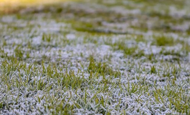 Pronóstico de heladas generalizadas: el invierno llega con vientos polares de “gran vigor”