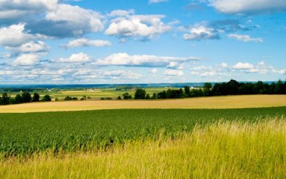 Campo al borde: el agro vuelve a mirar la biodiversidad