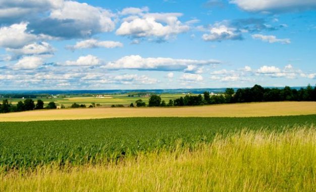 Campo al borde: el agro vuelve a mirar la biodiversidad