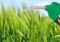 Biocombustibles: el Congreso comenzó a debatir la nueva ley, que tiene apoyo agroindustrial