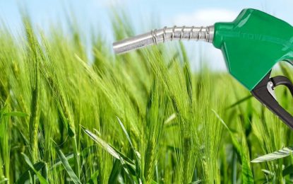 Biocombustibles: el Congreso comenzó a debatir la nueva ley, que tiene apoyo agroindustrial