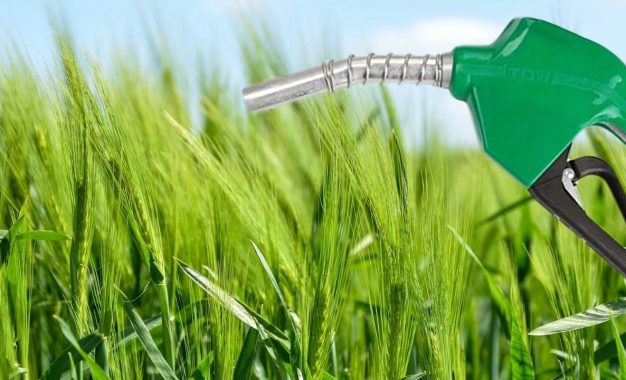 Biocombustibles: el Congreso comenzó a debatir la nueva ley, que tiene apoyo agroindustrial