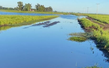El Niño viene: la probabilidad es del 100% a partir del invierno y con intensidad “muy fuerte”