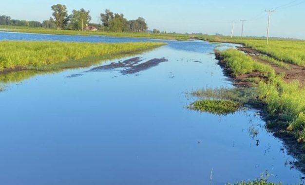 El Niño viene: la probabilidad es del 100% a partir del invierno y con intensidad “muy fuerte”