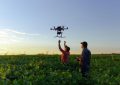 La inteligencia artificial en el agro: cómo los algoritmos transforman la producción