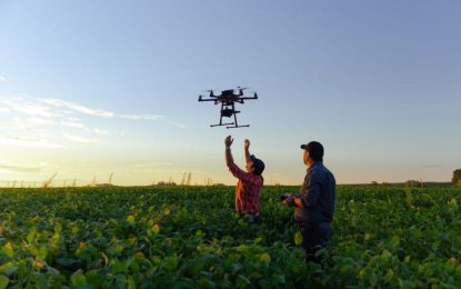 La inteligencia artificial en el agro: cómo los algoritmos transforman la producción
