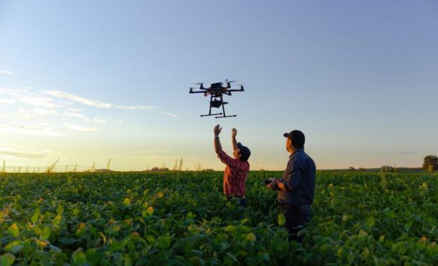 La inteligencia artificial en el agro: cómo los algoritmos transforman la producción