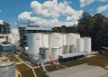 Biodiesel: Argentina dio vuelta el partido en la Unión Europea