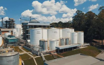 Biodiesel: Argentina dio vuelta el partido en la Unión Europea