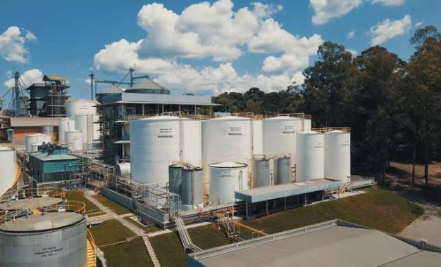 Biodiesel: Argentina dio vuelta el partido en la Unión Europea