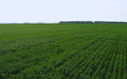 El agro mira al Pacífico: esperan un «Niño» fuerte que impulse la próxima campaña