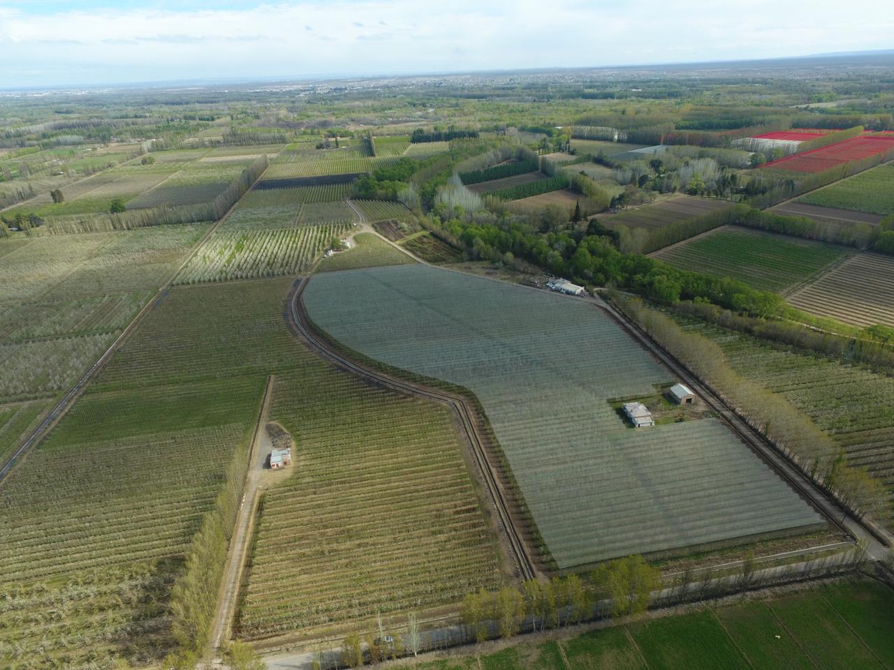 Fruticultura: Río Negro destina $ 39.000 millones para ampliar la cobertura con mallas antigranizo