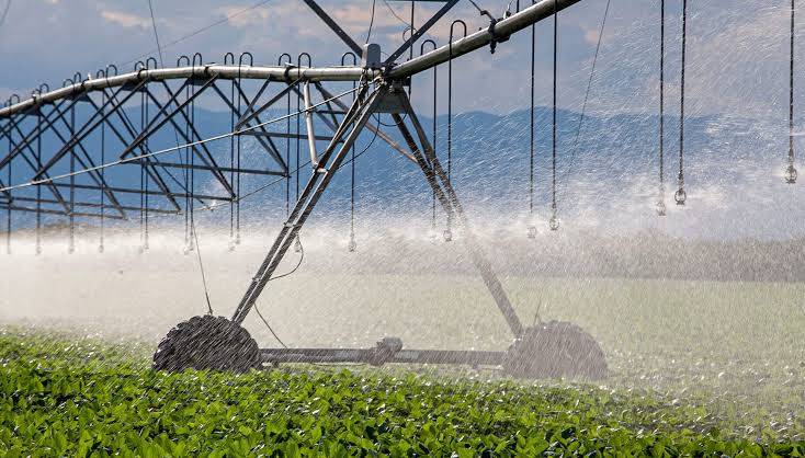 La frontera del agua: potencial y costos del riego, ¿la nueva revolución del campo argentino?